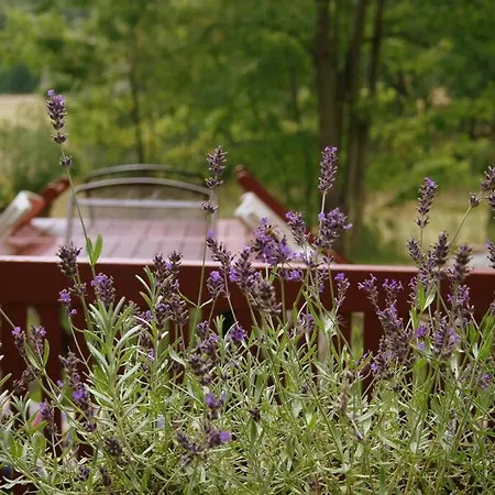 Hébergement de vacances Na Andelech Zulova