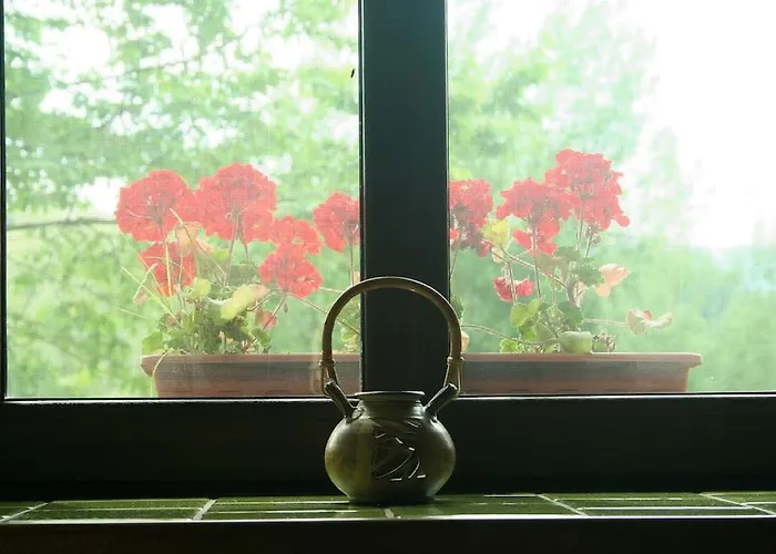 Na Andelech * Zulova