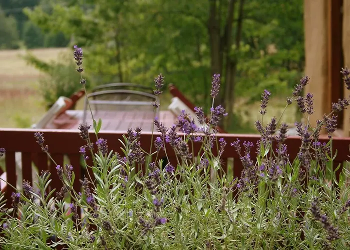 Vakantiehuis Na Andelech Zulova